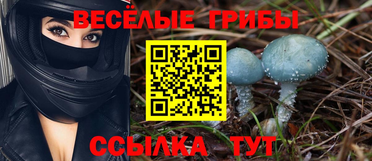 Первоуральск  Галлюциногенные грибы Cubensis  Вход с VPN 